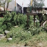 post-image