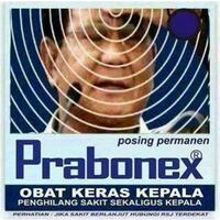 wowo-ditinggal-hatta-rajasa-ikut-upacara-di-istana