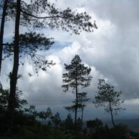 post-image