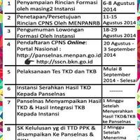 penerimaan-cpns-tahun-2014