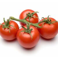 tomat-buah-apa-sayur