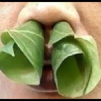 lounge-regional-bangka-belitung-senin-sd-kamis-prime-id-edisi-lebaran