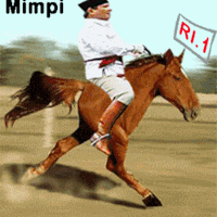 lima-tahun-ke-depan-gue-merasa-tidak-punya-presiden