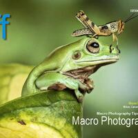 free-e-magazine-dari-ffmagz-edisi-9-quotmacro-photographyquot