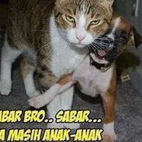 prestasi-sapi-pks-10-tahun-dipimpin-nur-mahmudi-depok-makin-macet--sering-banjir