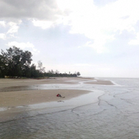 pesona-pantai-rupat