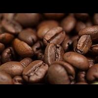 coffee-room-162---part-1