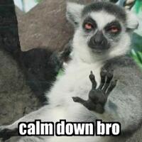 lounge-formil--gombalhok-si-thrombophob-kembali-siapa-lagi-mau-turun-gunung---part-8