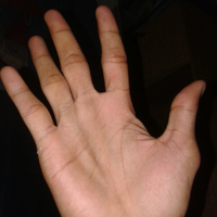 share-tentang-pengetahuan-keilmuan-garis-tangan---palmistry