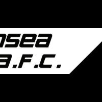 swansea-city-afc---rise-to-glory-2014-2015---who-are-we-jack-army