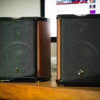 unboxing-and-review-the-luxury-speaker-active-hivi-swans-m100mkii