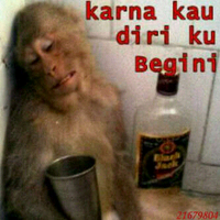 official-thread-kawal-joko-widodo---jusuf-kalla