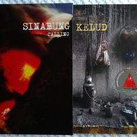 wts-buku-fotografi-sinabung-kelud-calling