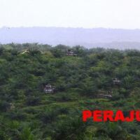 bukti--mbt-leopard-no-ambless