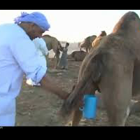 universitas-nalanda-dibuka-kembali-setelah-tutup-800-tahun