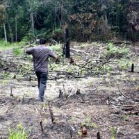 kalimantan-tengah-dan-perjalanannya-pic