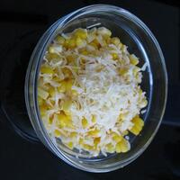 tanya-soal-franchise