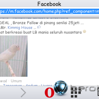 post-image