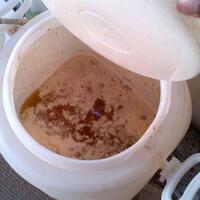 kampung-anggur----part-2