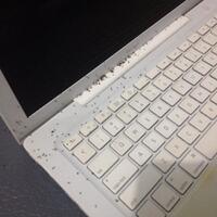 bagaimana-cara-mengusir-semut-di-dalam-laptop
