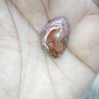 batu-akik-mustika-gemstone-bidang-keilmuan-quotperbatuanquot-dll----part-5