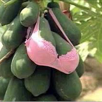 waroeng-nyantai---part-1