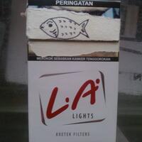 mana-status-loenih-braay-status-w--khusus-perokok