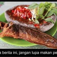bukan-pecel-geger-bayi-jadi-santapan-lele-di-yogyakarta