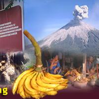 pohon-pisang-dan-masyarakat-indonesia--ada-apa-dengan-pohon-pisang