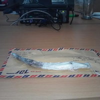 kampung-anggur----part-2