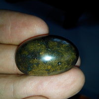 share--trit-perawatan-bacan