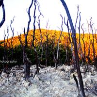 keindahan-gunung-papandayan-garut