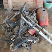 fjbsegala-jual-dan-beli-regional-kalimantan-tengah