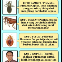 ahok-ditantang-cabut-kewarganegaraan-bila-ruu-pilkada-disahkan