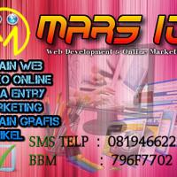 jasa-freelance-input-data-dan-desain-web-mudah