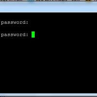 tanya-putty-dan-bitvise-error