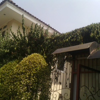 dilarang-bikin-thread-baru-mau-tanya-tentang-tanaman-masuk-sini-saja