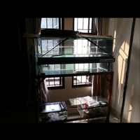 arowana--new-thread----part-1