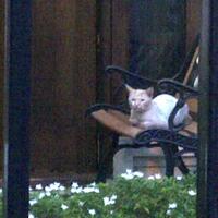 true-story-pengalaman-mistis-orang-orang-di-sekitar-ane-selama-di-jogja