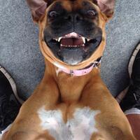 12-tips-selfie-yang-bisa-dipelajari-dari-hewan