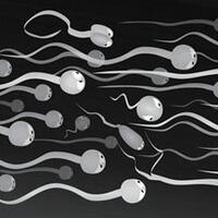10-hal-yang-bikin-kualitas-sperma-jadi-buruk