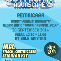 aquascape-for-everyone-learning-and-sharing---part-1