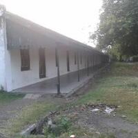 post-image