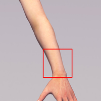 program-latihan--regimens--routines----part-1