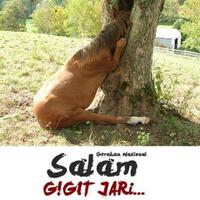 meme-salam-gigit-jari-soal-kabinet-jokowi-beredar-di-media-sosial