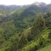 negeri-di-atas-awan--puncak-b29-lumajang-2900-mdpl