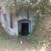 post-image