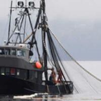 bocor-negara-rugi-rp101-triliun-akibat-pencurian-ikan-oleh-asing