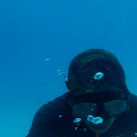 untuk-yang-suka-free-diving-masuk