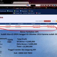 skyadmirer-financial-scheme-rumble-arena